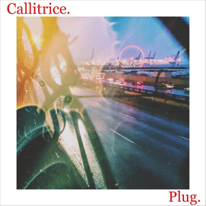 Plug
