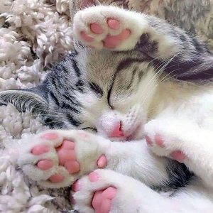 错过爱人的婚礼