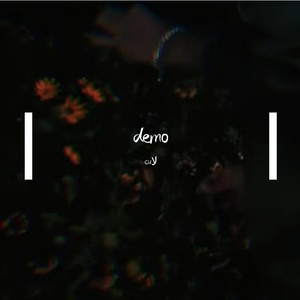 demo4