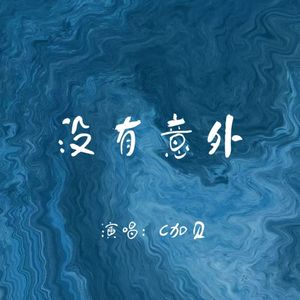《没有意外》