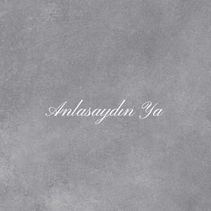 Anlasaydın Ya