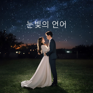 눈빛의 언어