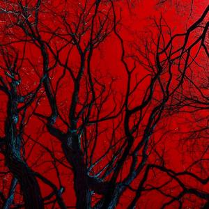 TELL ME AGAIN. (feat. WVVY YOUNGIN)