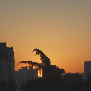 谁（片段）