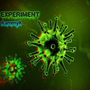 Experiment
