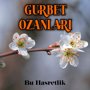 Bu Hasretlik