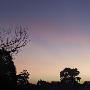 Convinced (feat. Delphinus)