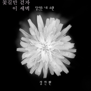 당신은 내 소원