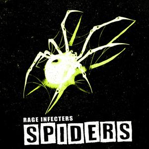spiders