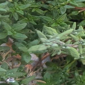 Don't say tomorrow never comes