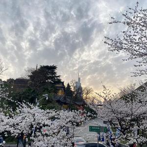 靠近 cover Morris赖仔