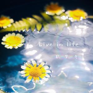 我们不是只有现在吗