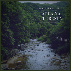 Som Relaxante de Água Na Floresta, Pt. 48