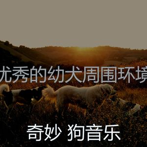 一尘不染小狗印象数