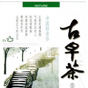 月儿弯弯照九州