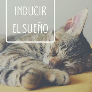 Inducir el Sueño