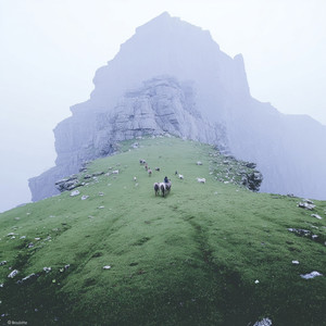 Songs of Grove, Flow, and Burden