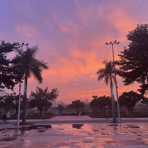 My Heart will go on（翻 满舒克）