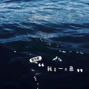 我是一只鱼