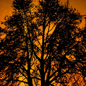 Paaband (Live) [feat. Jayesh Malani, Jason Zachariah, Yadhunandan Nagaraj & Kaushik Kumar]