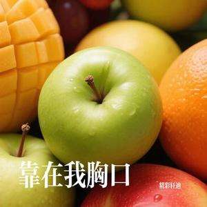 十二生肖闯江湖