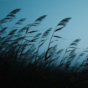 星河灿烂伴梦行