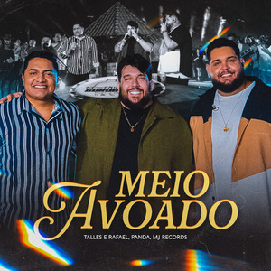 Meio Avoado (Ao Vivo)