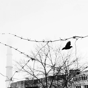 Тоталитаризм