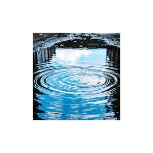 やっと気がついた