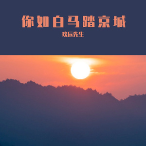 你如白马踏京城