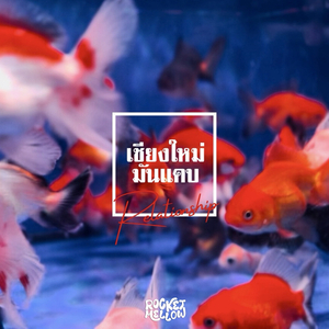 เชียงใหม่มันแคบ (Relationship)