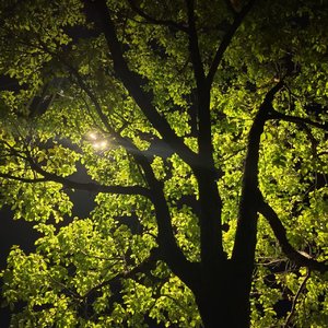 真爱没有保质期