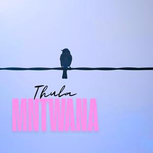 Thula Mntwana
