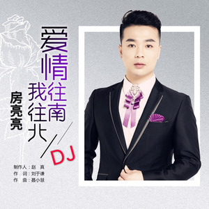 爱情往南我往北 (DJ版)