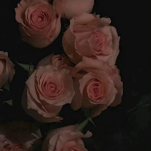 Night Flowering