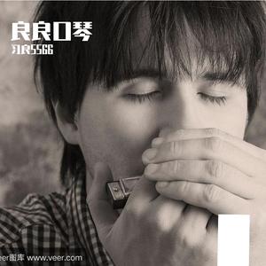 杀死那个石家庄人（口琴版）