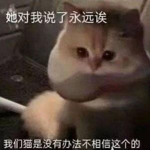 我们不是只有现在吗（Cover 曾轶可）