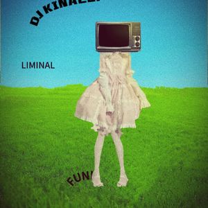 LIMINAL FUNK (feat. 茂名水逸夫)