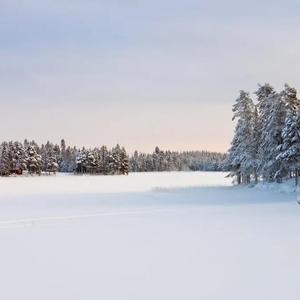 不知道能行吧 (2)