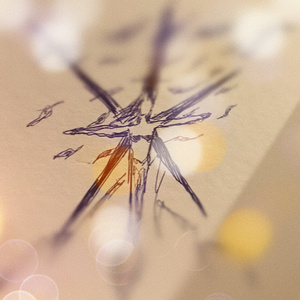 Дорога домой