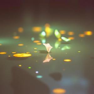 きみ（ゴミ）のかけら (reggae Version)