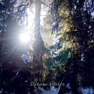Dream Waltz