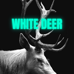 White Deer