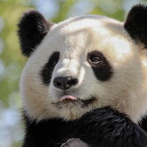 浅浅时光 恬静安然