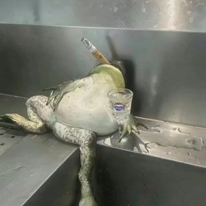 爱已输在了开始