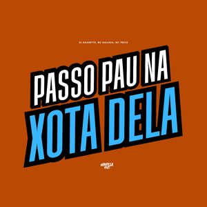 Passo Pau na Xota Dela