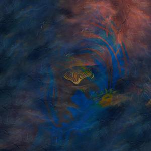 1st Language (Raw, Live & Improvised)