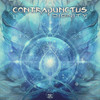 Contrapunctus - Dignity
