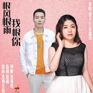 恨风恨雨我恨你