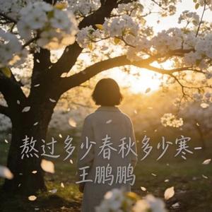 熬过多少春秋多少寒 (DJ版)